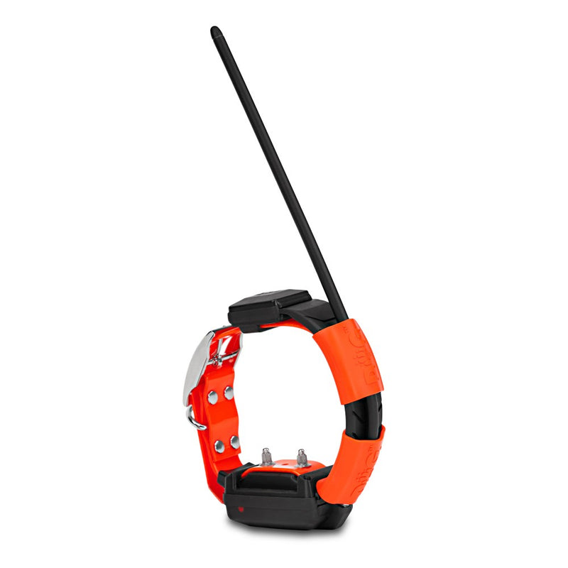 DOG COLLARE GPS AGGIUNTIVO X25T CON MODULO ADDESTRAMENTO