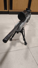 CZ 457