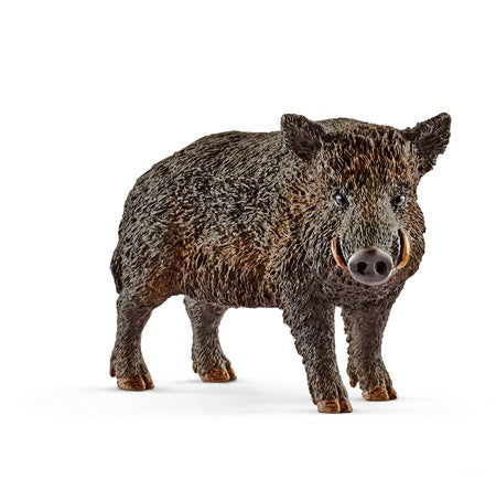 MODELLINO CINGHIALE