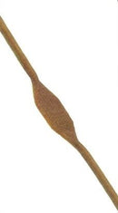 VENTURINI ELASTICO DI RICAMBIO CON FONDELLO PER FIONDA LANCIA-SASSI IN PLASTICA