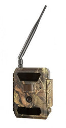 NUM'AXES FOTOTRAPPOLA PHOTOFAUNA PIE 1023