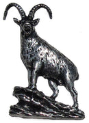 SPILLA STAMBECCO SU RUPE