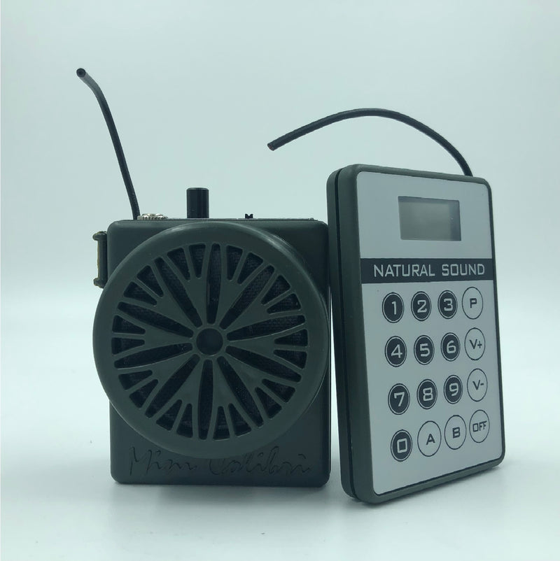 DIONISI SPORT RICHIAMO 100 CANTI CON TELECOMANDO VERDE